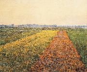Gustave Caillebotte The Yellow Fields at Gennevilliers France oil painting artist